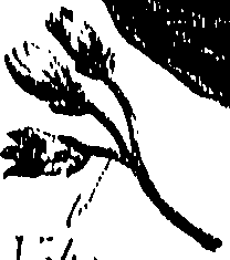 099/099310010900870_0.png