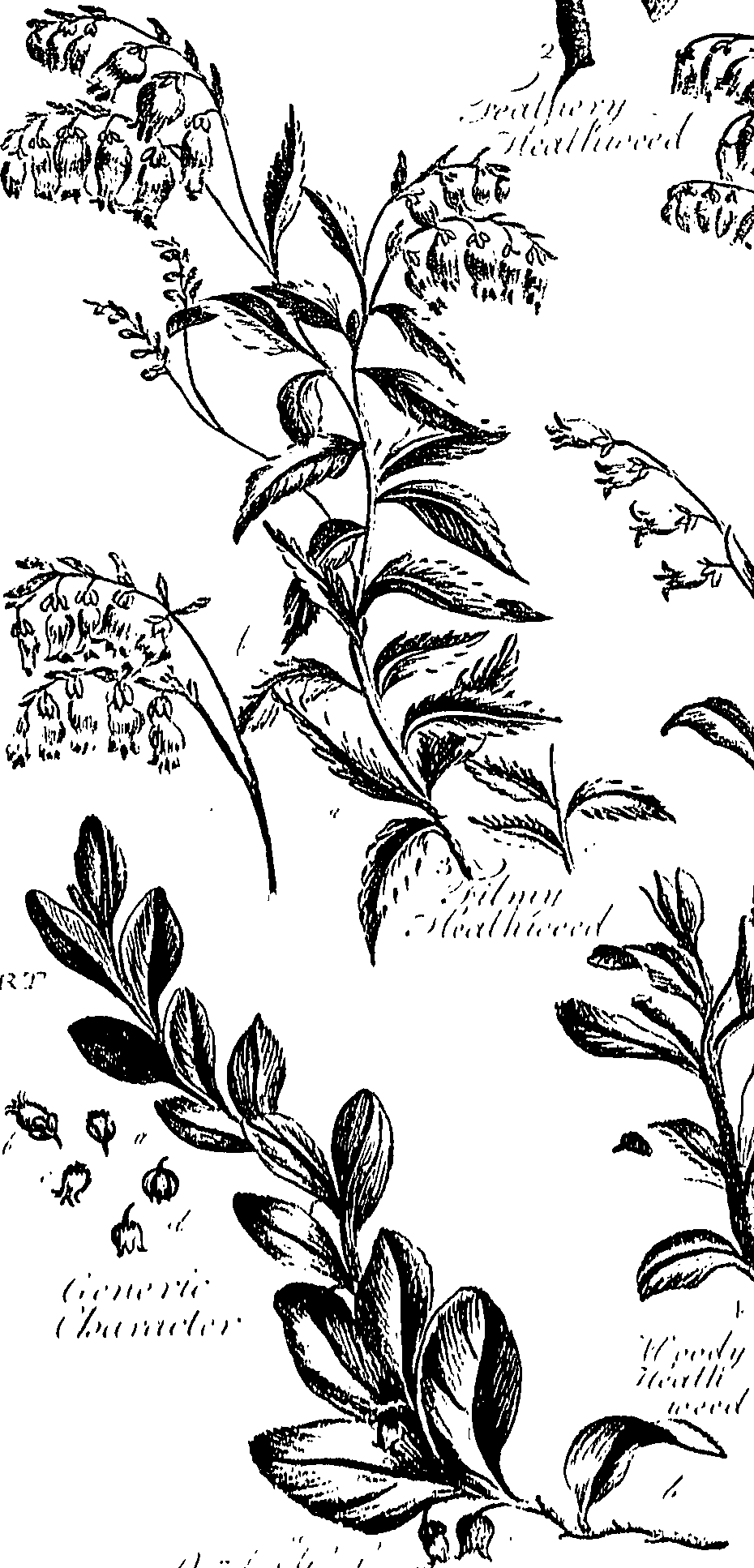 099/099310010900880_0.png