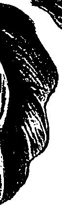 099/099310010900890_0.png