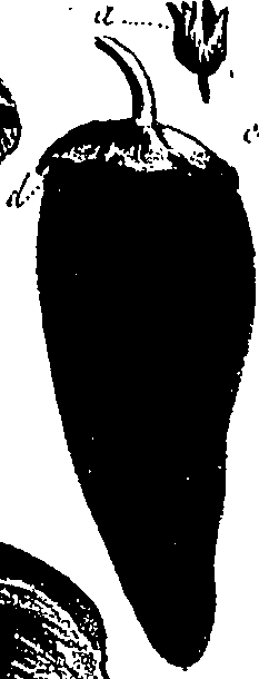 099/099310010900890_1.png