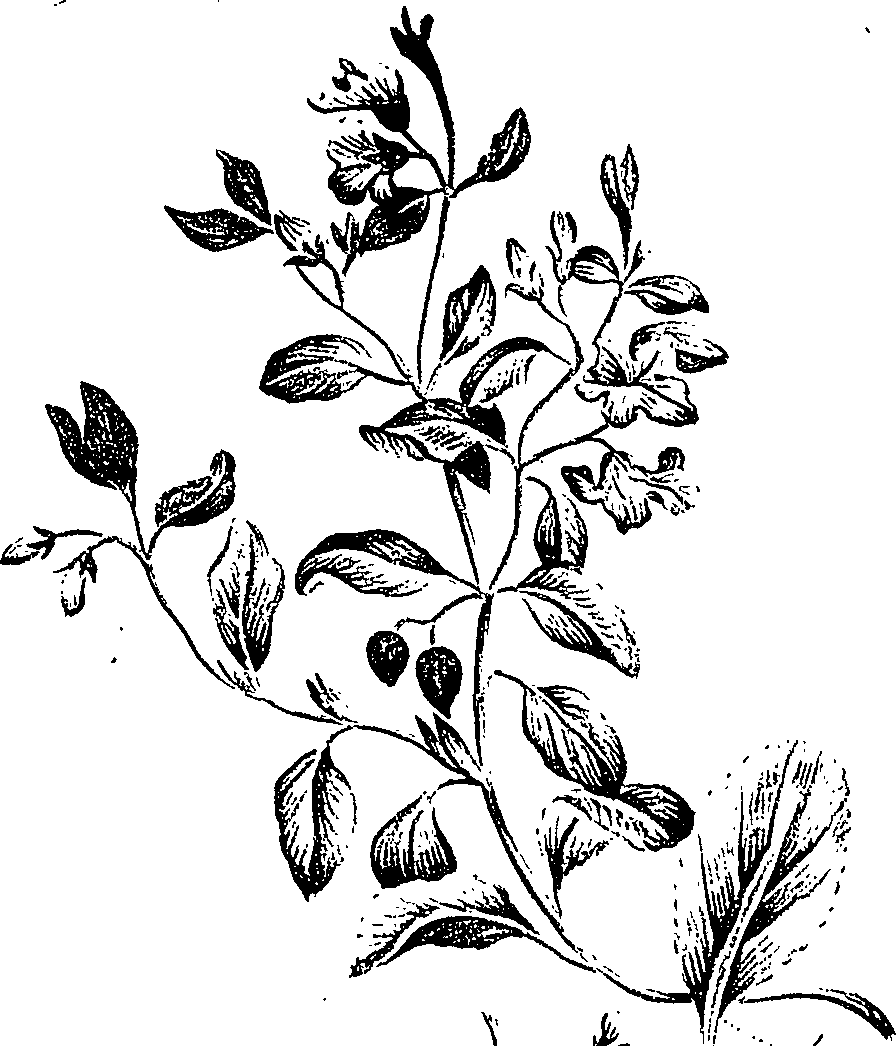 099/099310010900930_1.png
