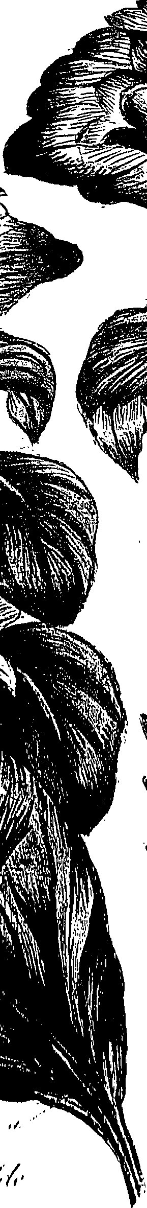 099/099310010900940_0.png