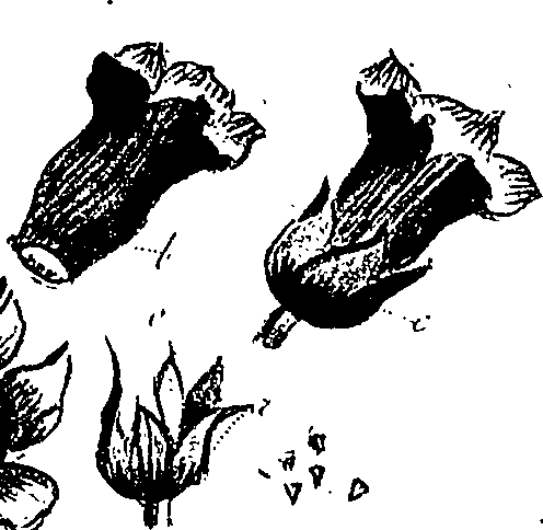 099/099310010900940_1.png