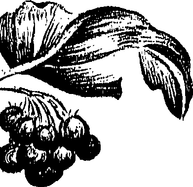 099/099310010900970_1.png