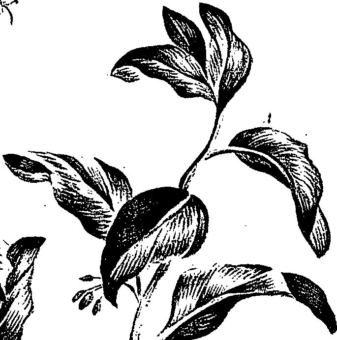 099/099310010900970_3.png