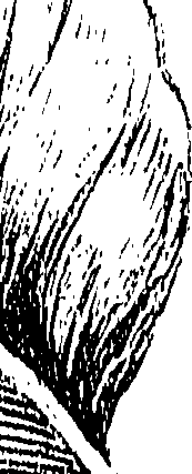 099/099310010900980_0.png