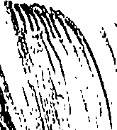 099/099310010900980_1.png