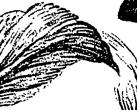 099/099310010900980_3.png