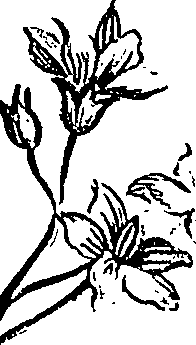 099/099310010900980_5.png