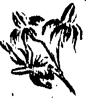 099/099310010900990_0.png