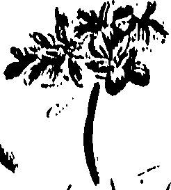099/099310010901000_0.png