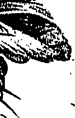 099/099310010901010_0.png