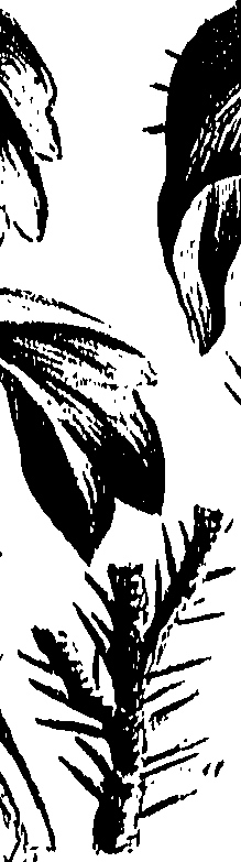 099/099310010901030_0.png