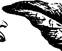 099/099310010901030_1.png
