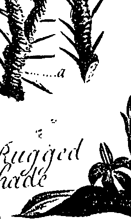 099/099310010901030_2.png