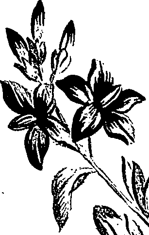 099/099310010901030_3.png