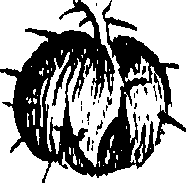 099/099310010901040_0.png