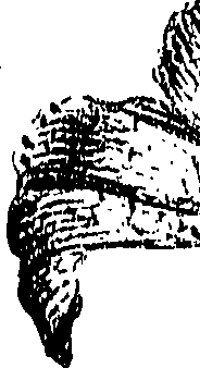 099/099310010901040_1.png