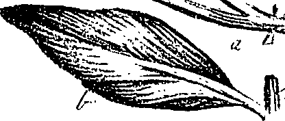 099/099310010901060_0.png