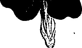 099/099310010901060_1.png