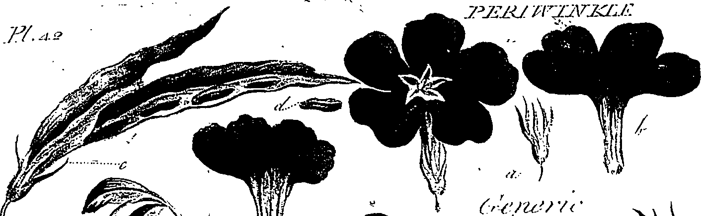 099/099310010901060_2.png