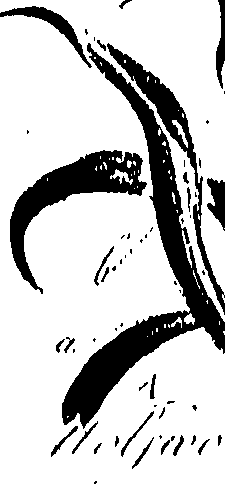099/099310010901070_0.png