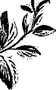 099/099310010901070_1.png