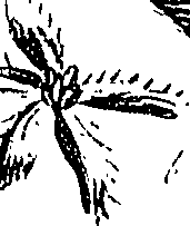 099/099310010901070_2.png