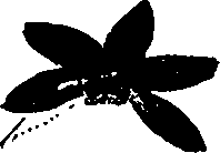 099/099310010901080_2.png