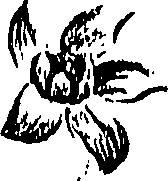 099/099310010901100_0.png