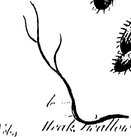 099/099310010901120_0.png