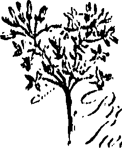 099/099310010901130_0.png