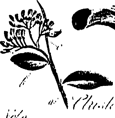099/099310010901140_0.png