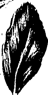 099/099310010901140_1.png