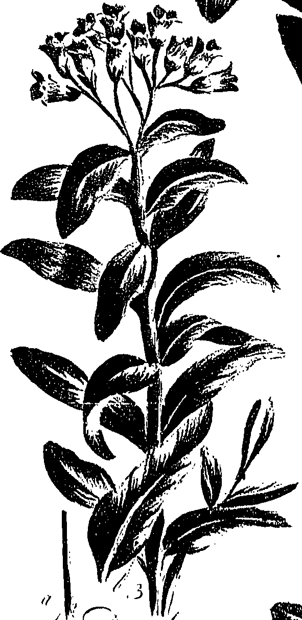 099/099310010901150_0.png