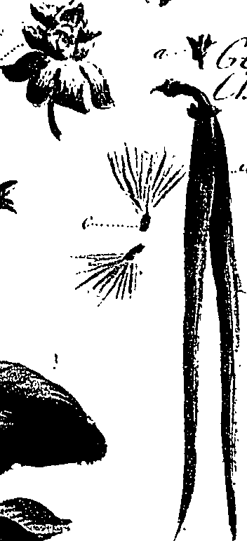 099/099310010901150_1.png