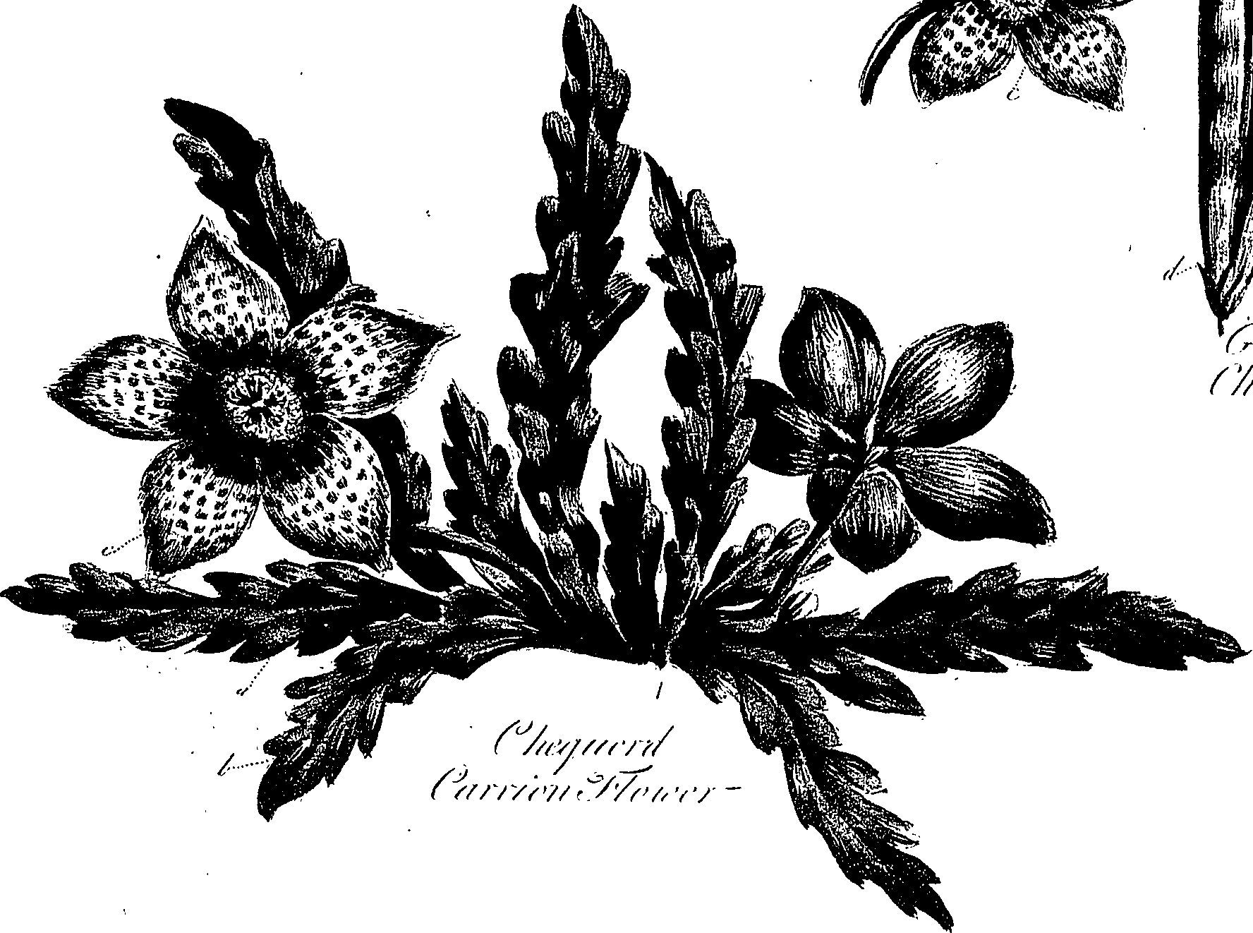 099/099310010901160_1.png