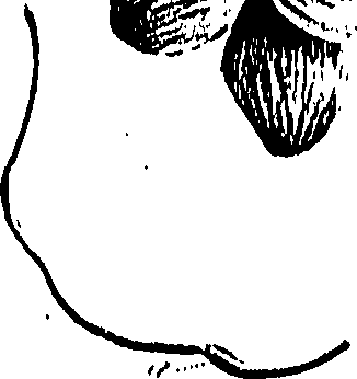 099/099310010901190_0.png