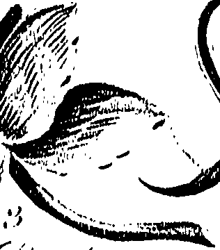 099/099310010901190_1.png