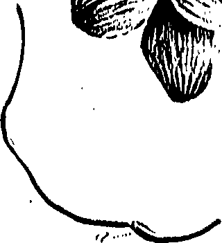 099/099310010901200_0.png