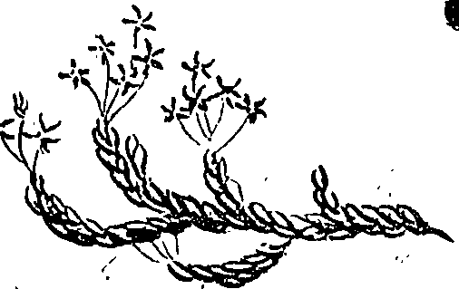 099/099310010901220_0.png