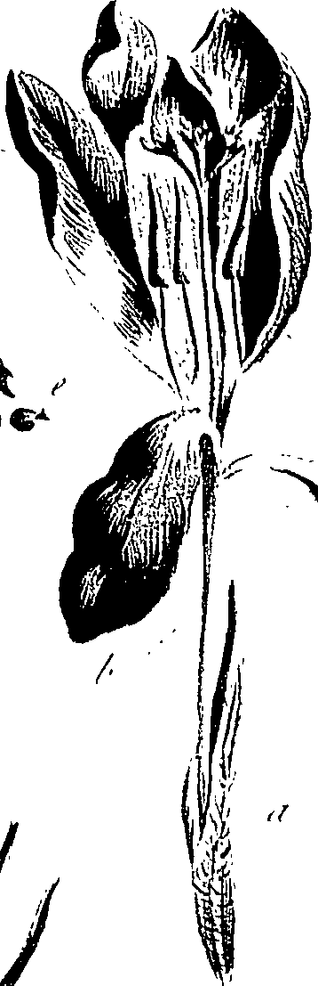 099/099310011000670_1.png