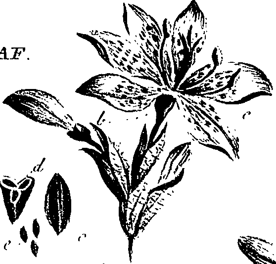 099/099310011000680_1.png