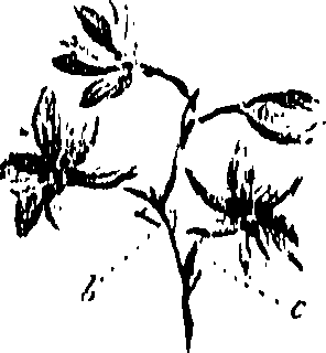 099/099310011000690_0.png