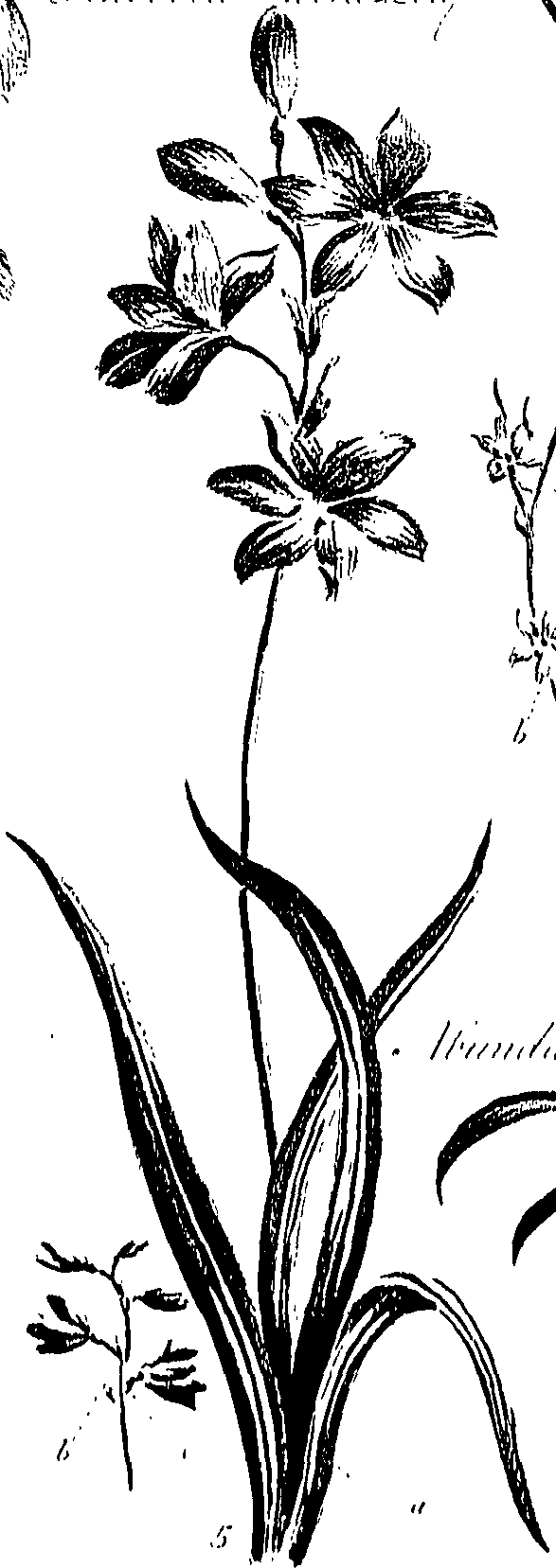 099/099310011000690_1.png