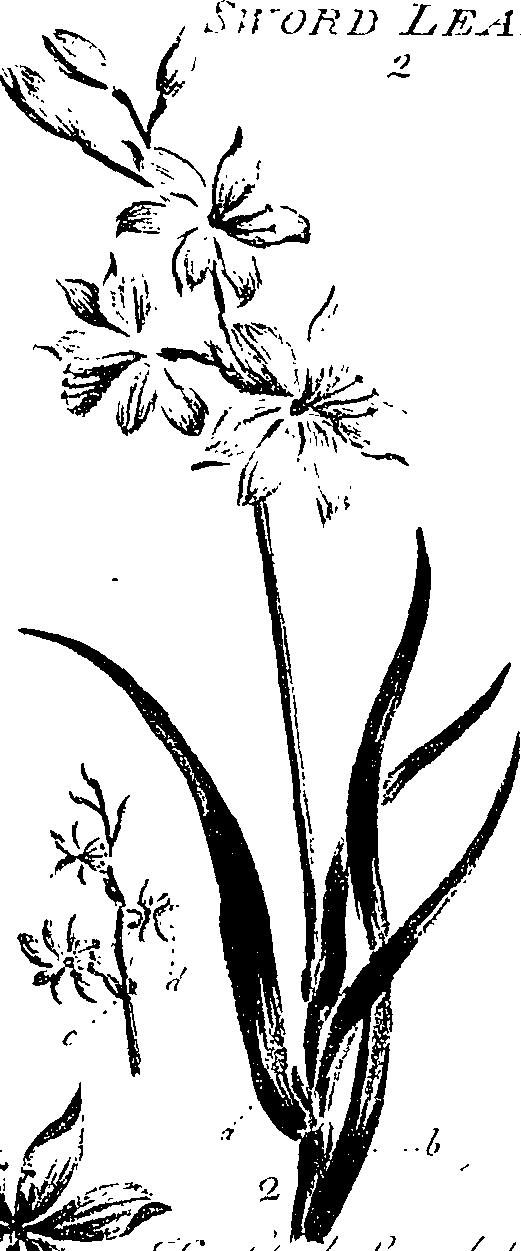099/099310011000690_2.png