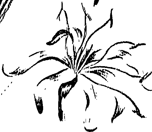 099/099310011000700_0.png