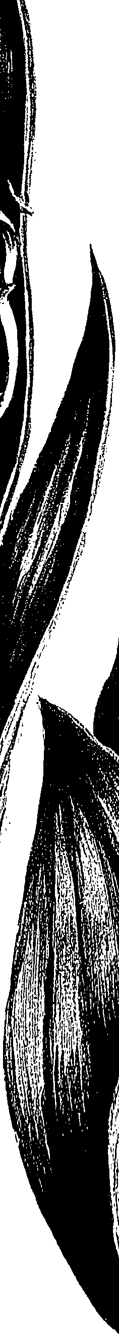 099/099310011000710_0.png