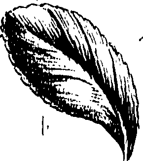 099/099310011000750_0.png