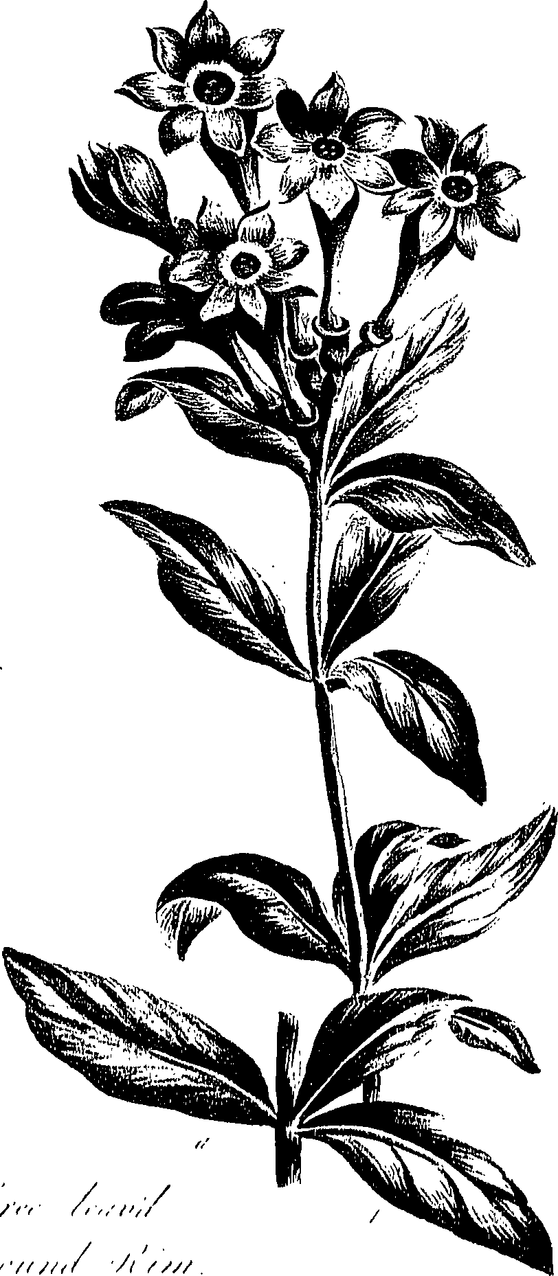 099/099310011000760_0.png